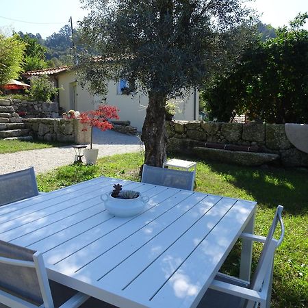 Bed and Breakfast A Casa Com 2 Pereiras Терраш-ди-Бору Экстерьер фото