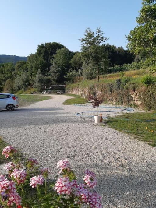 Bed and Breakfast A Casa Com 2 Pereiras Терраш-ди-Бору Экстерьер фото